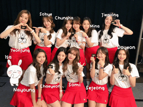 a group of girls posing for a picture with names such as chaeyeon somi and sejeong on the bottom