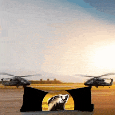 a black pillow with a picture of a bear on it sits in front of two helicopters