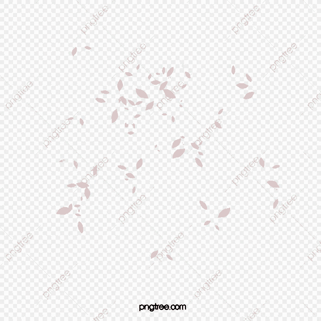 a bunch of pink petals falling from a flower on a transparent background