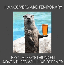 a picture of an otter holding a glass of beer with the caption hangovers are temporary