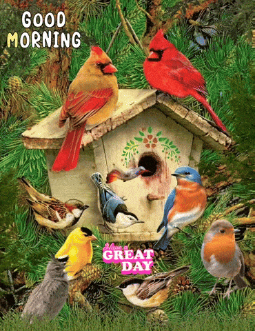 a group of birds sitting on top of a birdhouse with the words " good morning " on the bottom