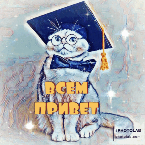 a cat wearing a graduation cap and bow tie with the words bcem pribet