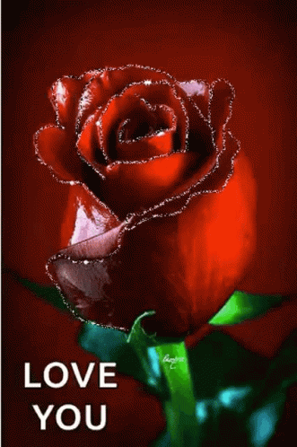 I Love You Rose GIF - I Love You Love You Rose GIFs