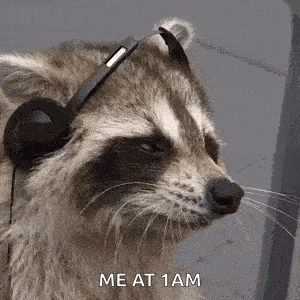 a raccoon wearing headphones with the words `` me at 1am '' written on it .