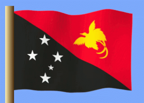 Papua New Guinea GIF - Papua New Guinea GIFs