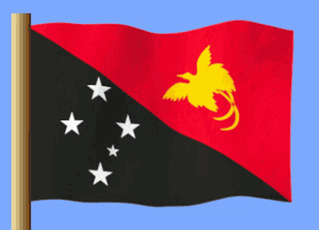 the flag of papua new guinea is red black and yellow
