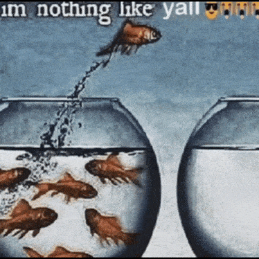 a painting of a fish jumping out of a bowl with the words im nothing like yall