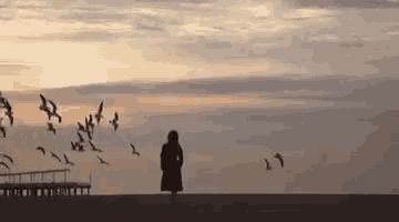 a woman is standing on a beach watching a flock of seagulls flying in the sky .