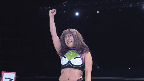 a woman wrestling in a ring with a sign that says net lab