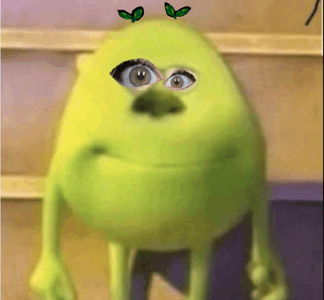 mike wazowski from monsters inc has a woman 's eye and leaves on his head