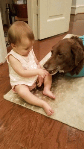 Baby Sharing GIF - Baby Sharing Dogs GIFs
