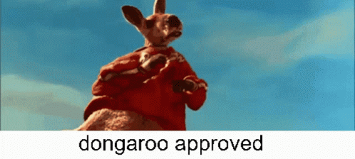 Dongaroo Approved GIF - Dongaroo Approved GIFs
