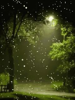 a park at night with a street light and trees