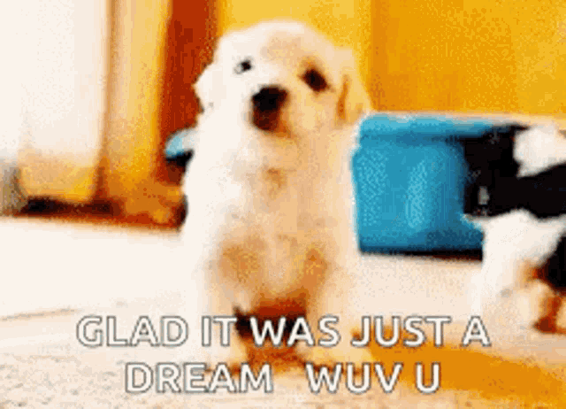 a puppy says glad it was just a dream wuv u.