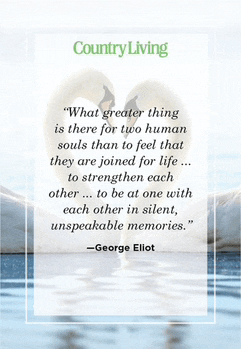 a quote by george eliot is on a picture of two swans in the water