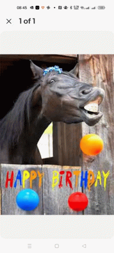 Happy Birthday Horse Birthday GIF - Happy Birthday Horse Birthday GIFs