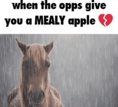 Mealy Apple Opps GIF - Mealy Apple Opps GIFs
