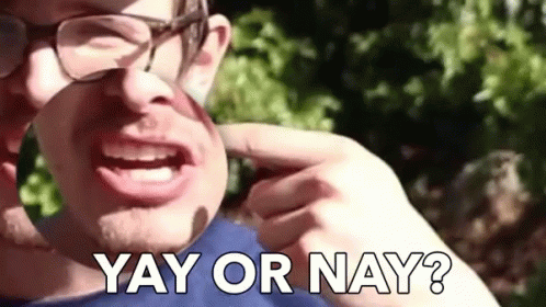 Yay Or Nay Yes Or No GIF - Yay Or Nay Yes Or No Thumbs Up GIFs