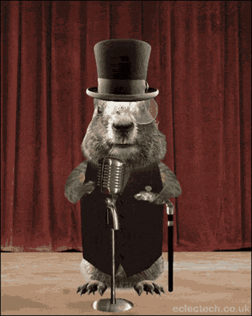 a squirrel wearing a top hat and a cane stands in front of a microphone