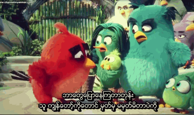 Angry Birds GIF - Angry Birds GIFs