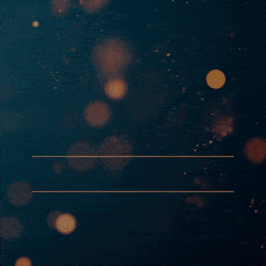 a new year 's greeting from lyon immobilier