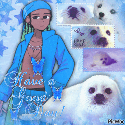 a picture of a boy and seals with the words have a good day at the bottom