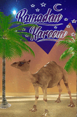 a camel is standing in front of a ramadan kareem sign