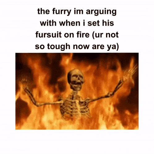 the furry im arguing with when i set his fursuit on fire ( ur not so tough now are ya)