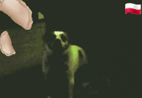 Aidansarmy Lazer Dogs GIF - Aidansarmy Lazer Dogs Dogs GIFs
