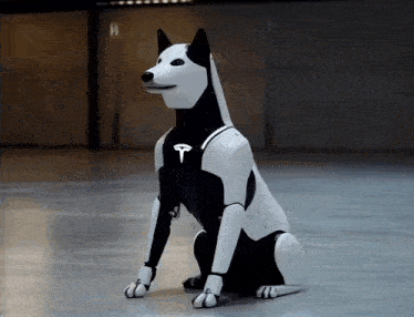 a black and white robotic dog with a t on its chest