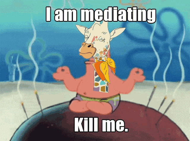 a cartoon of a giraffe with the words " i am mediating kill me " on the bottom