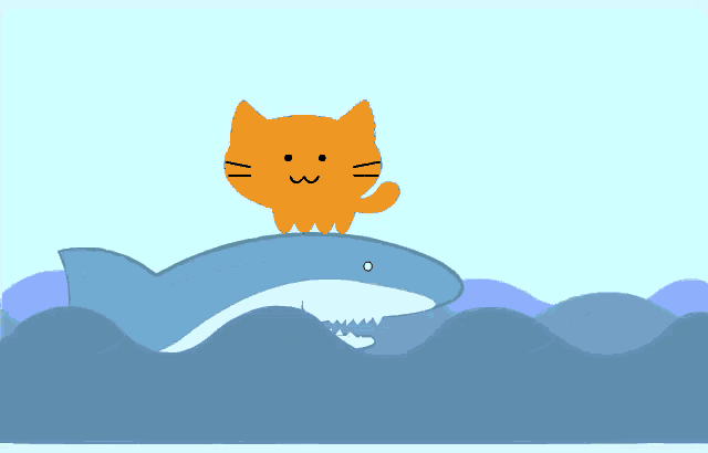 a cat is standing on top of a shark in the water