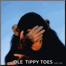 Ole Tippy Toes Laughing GIF - Ole Tippy Toes Laughing Lol GIFs