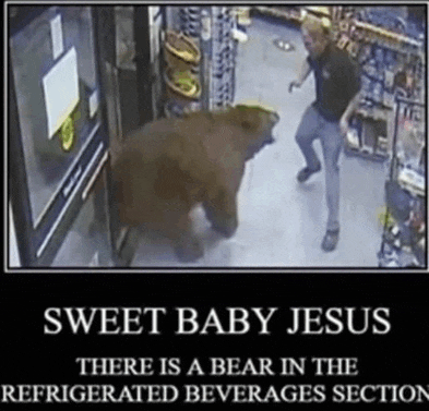 a bear is in the refrigerated beverages section of a store