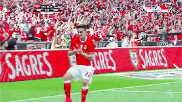 a soccer player is celebrating a goal on a field with a sign that says sagres on it