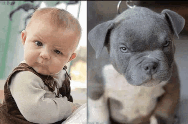 a baby is sitting next to a dog that looks like a puppy