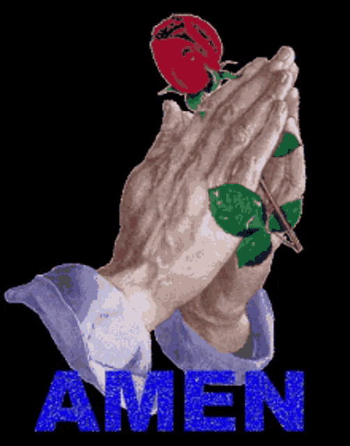 a picture of praying hands holding a rose and the word amen in blue