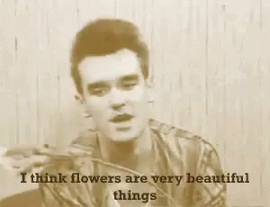 I Think Flowers Are Very Beautiful Things GIF - I Think Flowers Are Very Beautiful Things GIFs