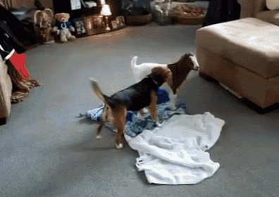Beagle And Goat Party GIF - Beagle Goat Friends GIFs
