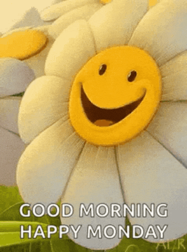 a flower with a smiley face on it and the words `` good morning happy monday ''