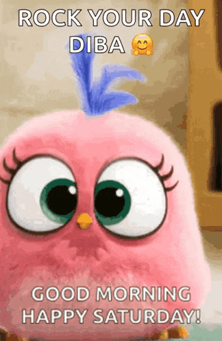 a pink angry bird with a blue feather on its head says rock your day diba good morning happy saturday !