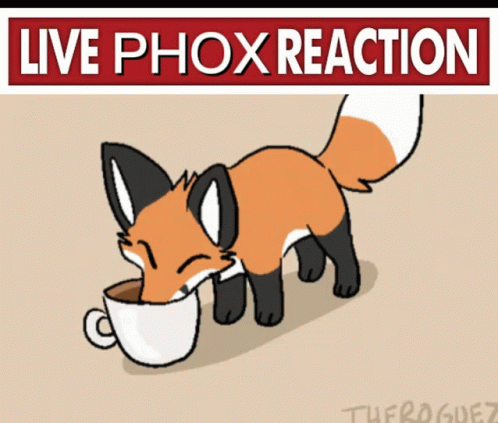 Live Fox Reaction GIF - Live Fox Reaction GIFs