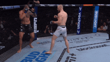 two men are fighting in a boxing ring with a bud light banner