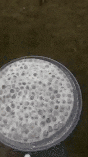 a close up of a plastic container filled with a white substance .
