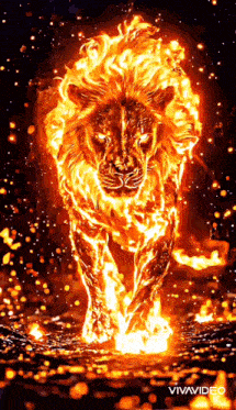 a lion made of flames is running through a fire filled field .
