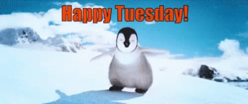 Happy Tuesday Penguin GIF - Happy Tuesday Tuesday Penguin GIFs