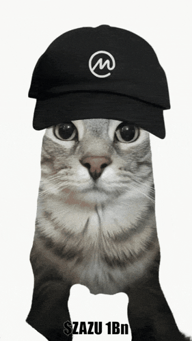 a cat wearing a black hat that says zazu 1bn on it