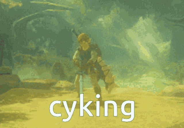 Link Zelda GIF - Link Zelda Cyking GIFs