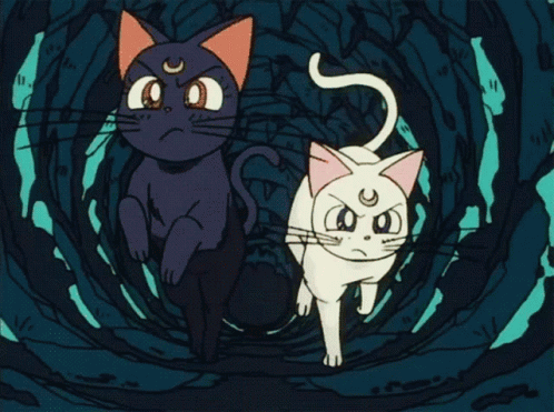 Sailor Moon Cats GIF - Sailor Moon Cats Running GIFs