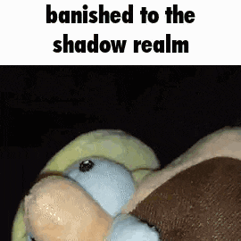 a stuffed animal with the words `` banished to the shadow realm '' written on it .